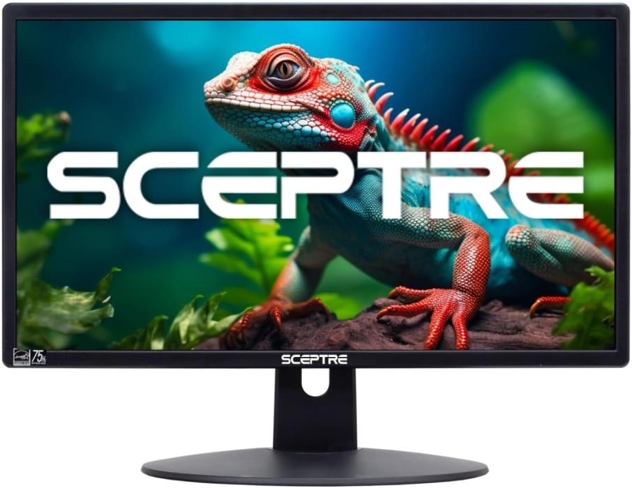 Monitor Eceptre LCD 20" Widescreen / Medio Uso  ‎E205W-16003R
