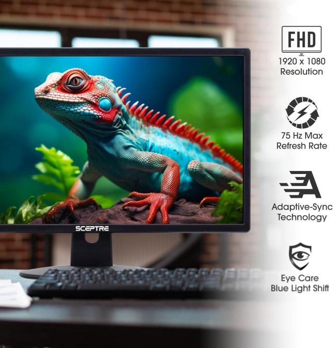 Monitor Eceptre LCD 20" Widescreen / Medio Uso  ‎E205W-16003R