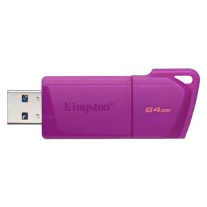 Kingston - USB flash drive - 64 GB - USB 3.2 Gen 1 - NEON Purple