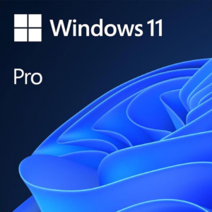 Microsoft Windows  Pro 11 64-bit  ESD NO CD