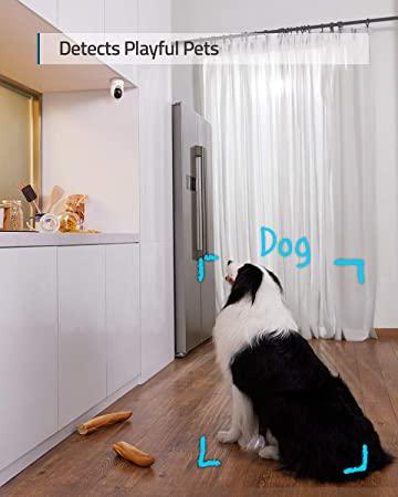 Eufy - Surveillance camera - Indoor Cam E220