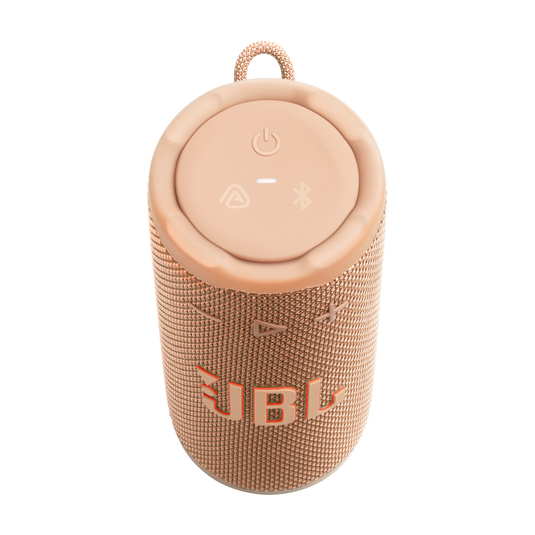 Jbl Speaker BT Grip Orange