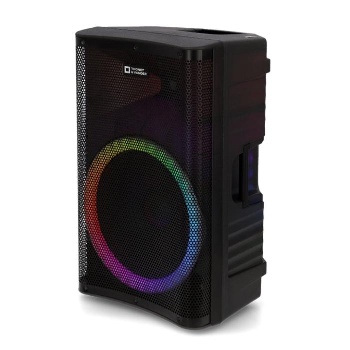 PARLANTE THONET & VANDER STARKG2 250W BLUETOOTH / RCA CON MICROFONO INALÁMBRICO HK096-03646