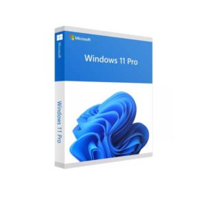 Licencia de Windows 11 Profesional OEM DVD 1PC - FQC-10553