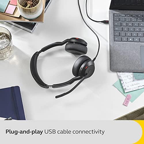 HEADSET JABRA EVOLVE2 50 USB C/A STEREO