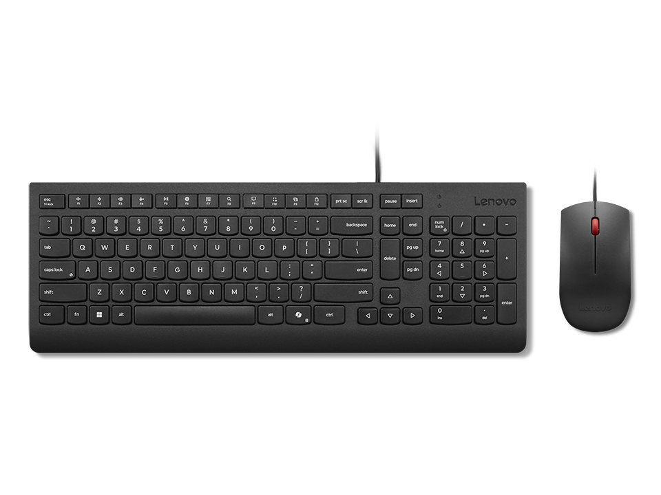 Lenovo - Keyboard and mouse set - Essential Wired Combo